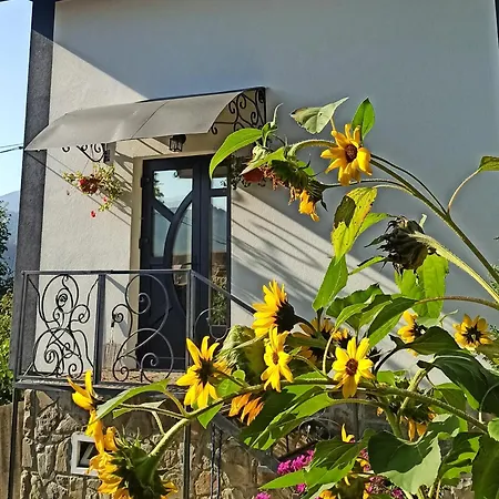 Legit House Апартаменти