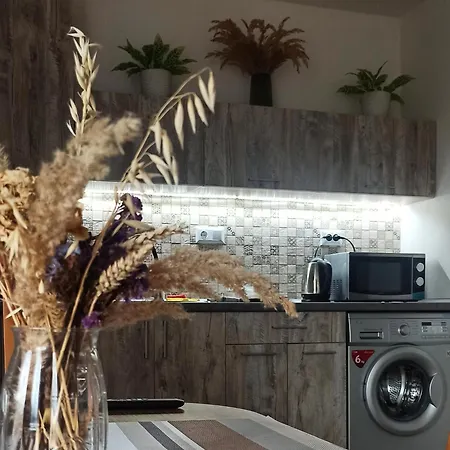 Legit House Jaremtsche