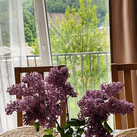 Legit House Apartment Jaremtsche